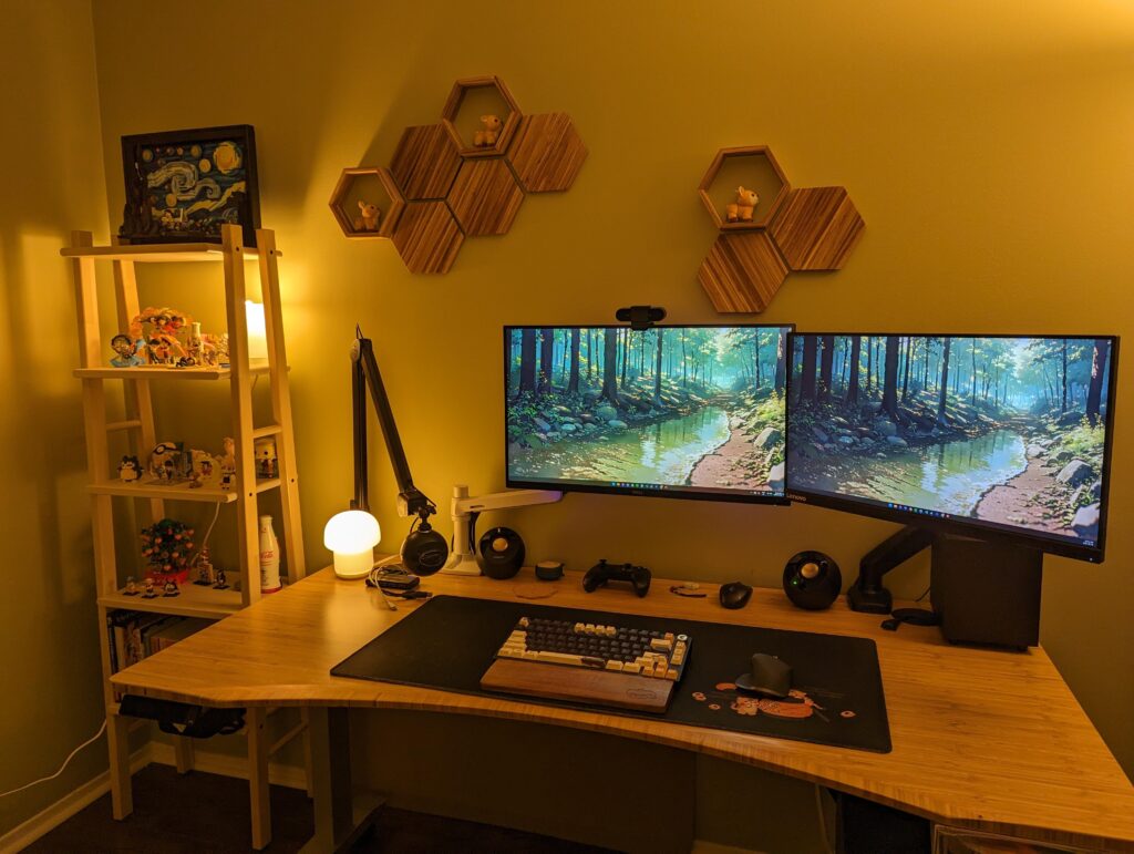 Current Gaming / Work setup. Thoughts or advice?
