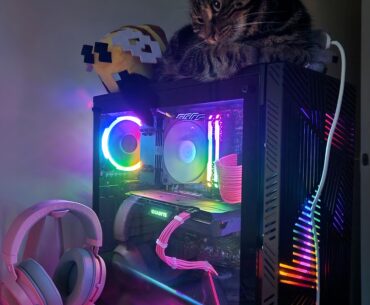 New heater for my cat
