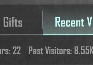 How many past visitors you have?