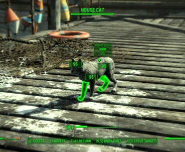 In Fallout 4, you cannot pet any cats but you CAN kill them. WTF, Bethesda? 😂