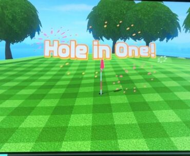 Hole In 1