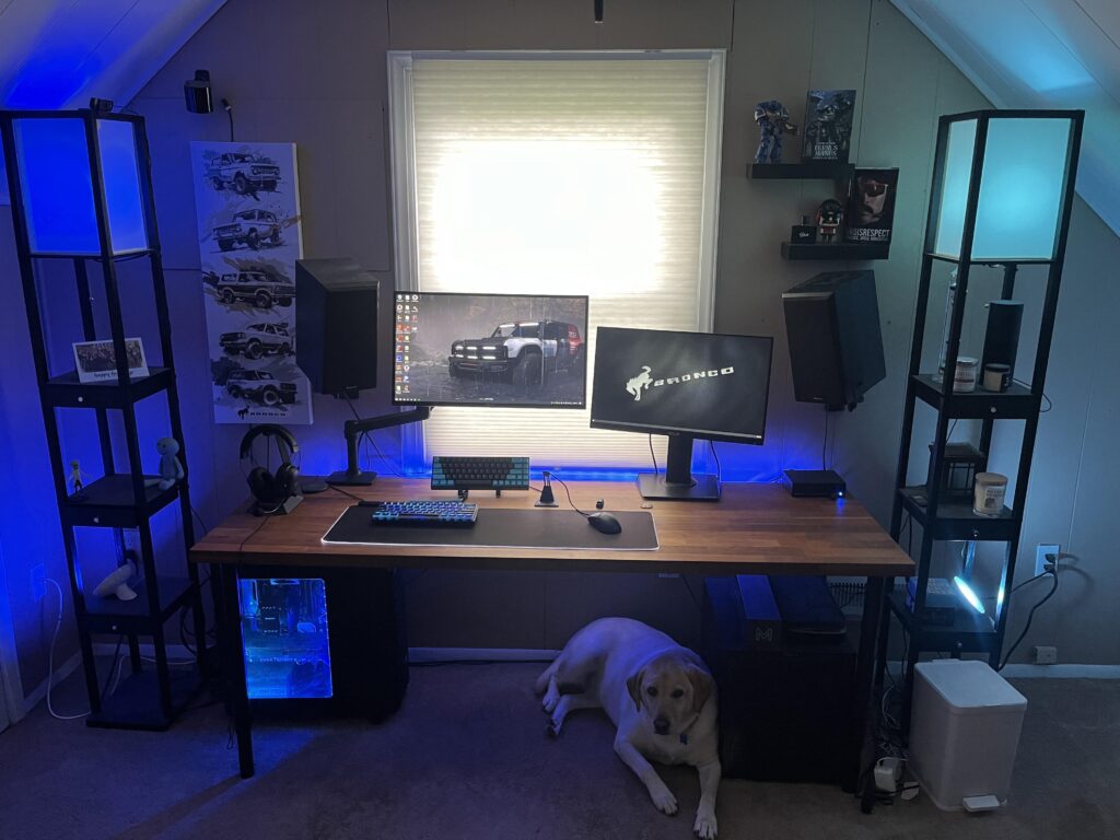 Looking for suggestions