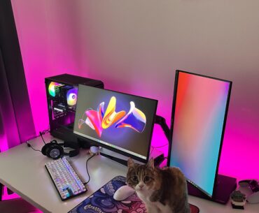 I think she liked it 🐱