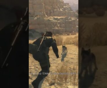 Oh look a puppy #mgs #mgs5 #mgsv #metalgearsolid #gaming