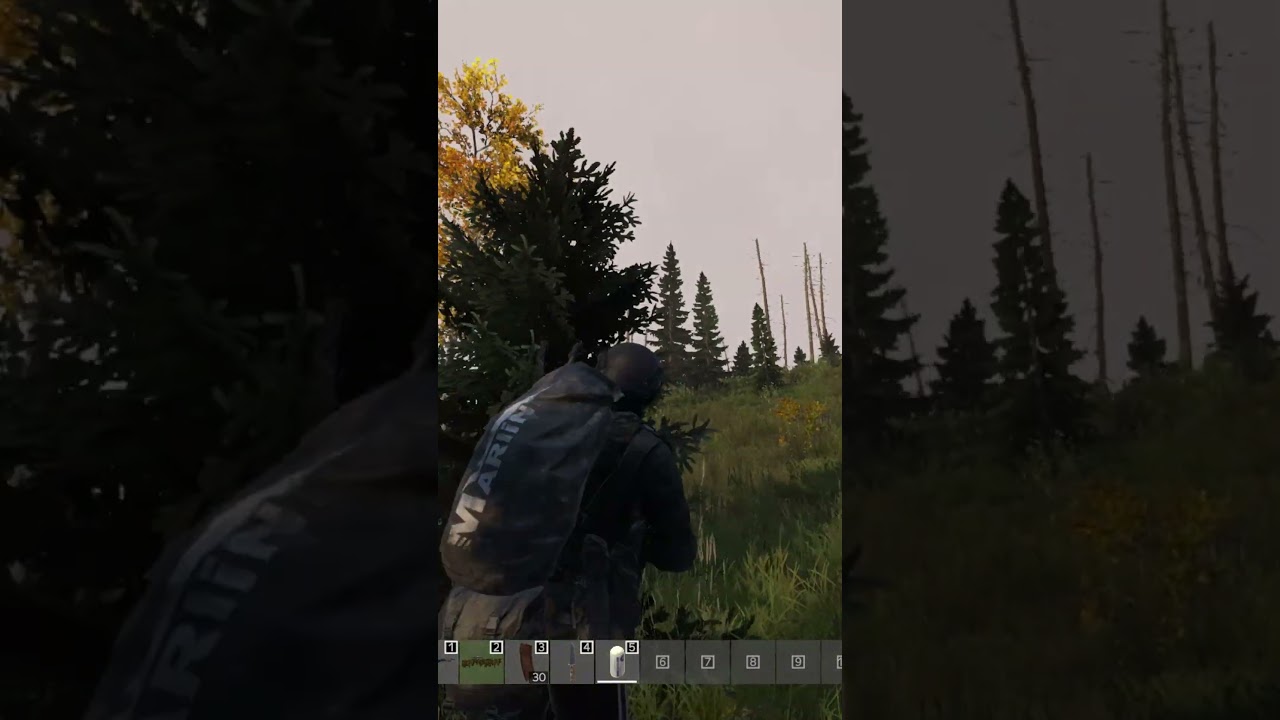 Dayz – mometns #shorts #gaming #dayzmoments #gameplay #dayz #games Dayz - mometns #shorts #gaming #dayzmoments #gameplay #dayz #games