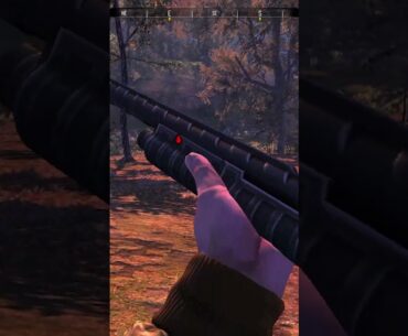 Theres No Way I mess Up This Shot!