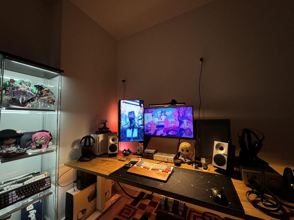 My Apartment Setup