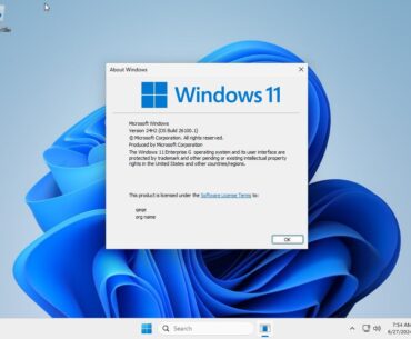Here is Windows Government edition. Version of Windows maximally debloated by Microsoft, with all telemetry and microsoft apps removed and without restrictions for hardware present in Retail version