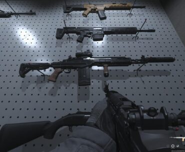 What gun is this