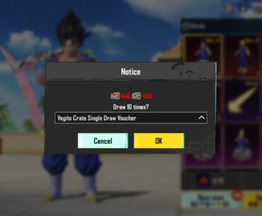 Unable to use voucher on single draw