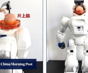 Chinese scientists create robot with brain made from human stem cells (This is a literal cyborg...)