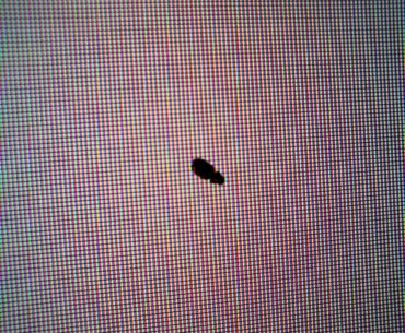 Are these dead pixels? And should I be worried if they are.