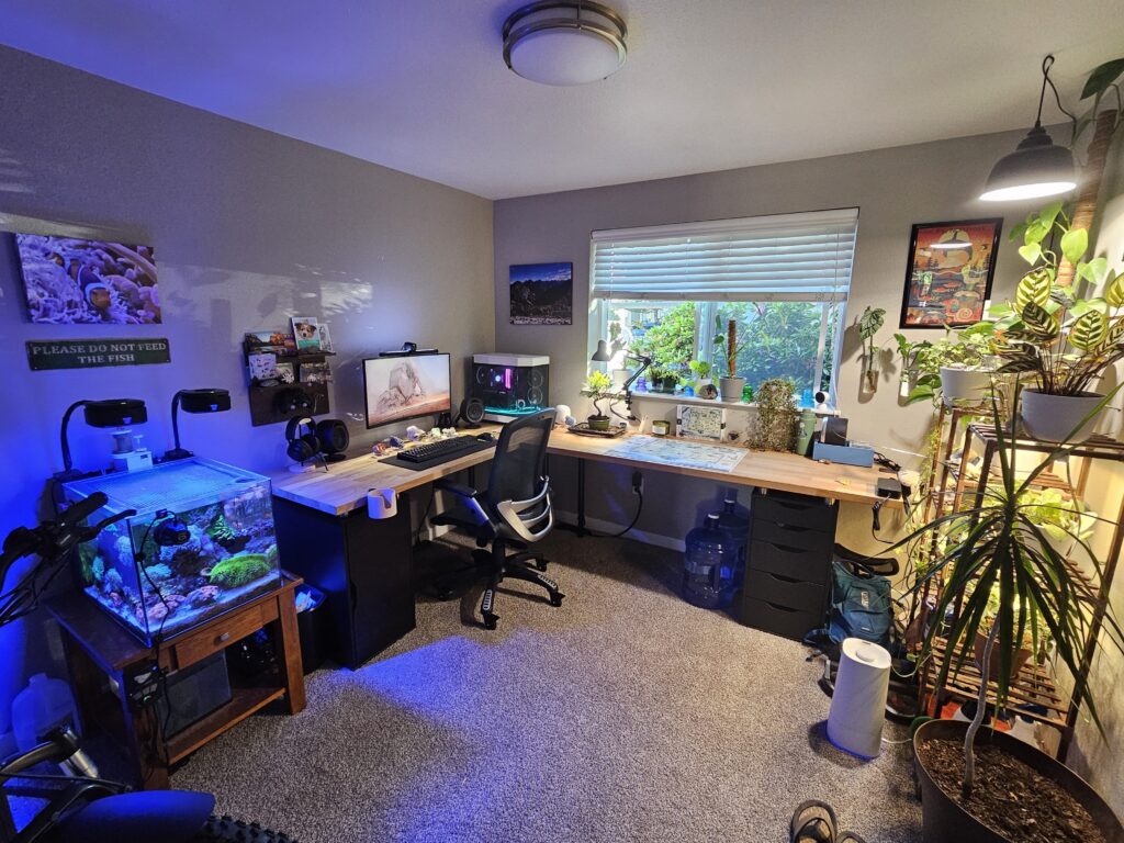 First home office/battlestation