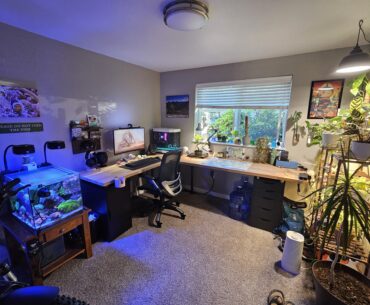 First home office/battlestation
