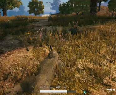So close I could taste the chicken