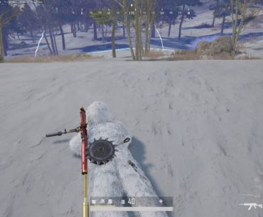 3 kill chicken dinner