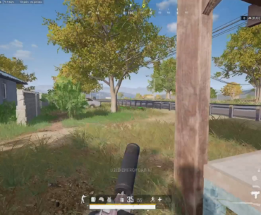 Bot or Not?