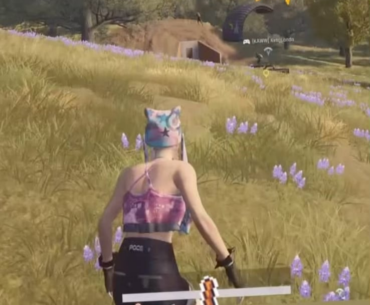 Bonk