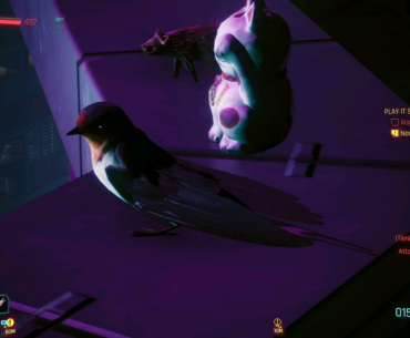 I just found a bird
