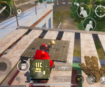 My life is now complete. I found the chicken!