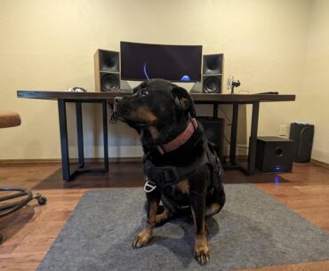 Battledog with a battlestation.