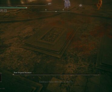 No worse feeling then getting the boss down to 1 hp and then dying.