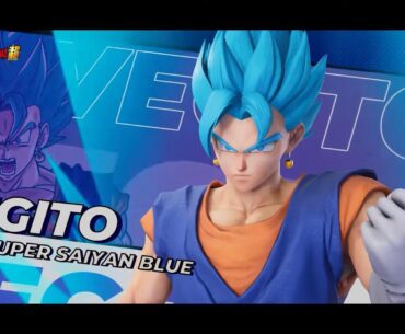 How much does Vegito cost?