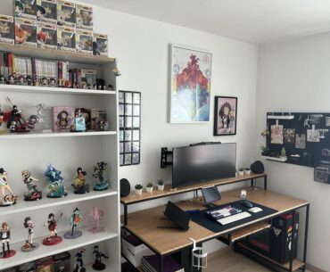 Looking for suggestions/advice