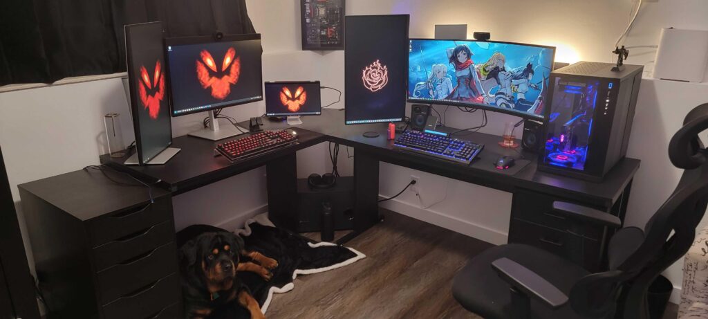 New home office setup.