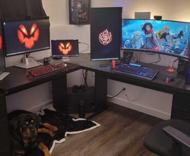 New home office setup.