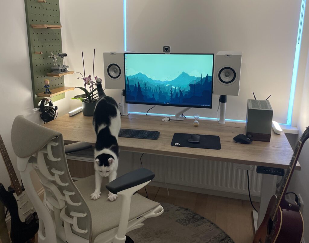 Battlestation for work and gaming. Open to recommendations!