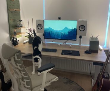 Battlestation for work and gaming. Open to recommendations!
