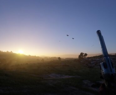 Finally jumped into the world of Red Dead Redemption 2 after finishing the first one a few months earlier. Still looks fantastic today, runs beautifully on my modest system, and its mechanics are very detailed. Playing it first person for immersion too. Happy getting lost in this world for sure.