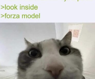 these models are 20 years old