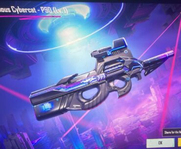 P90 skin