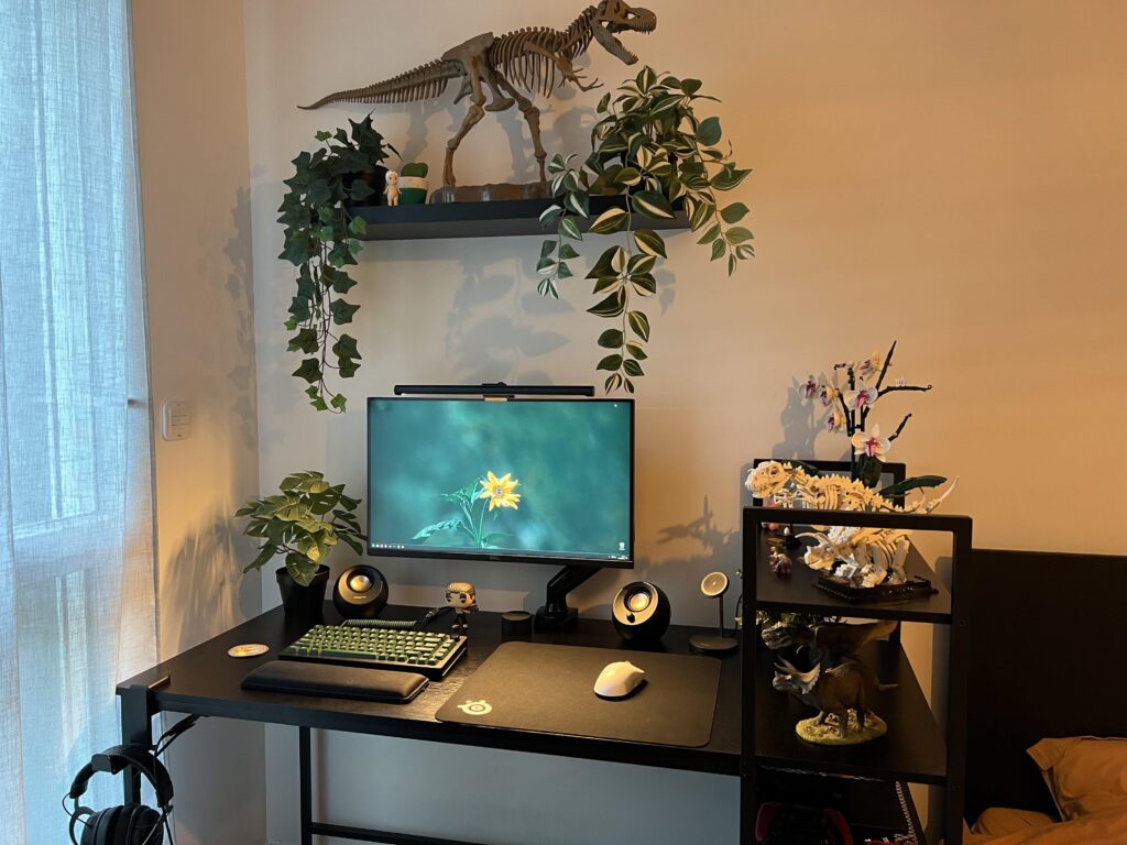 My little Dino theme corner