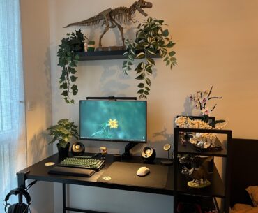 My little Dino theme corner