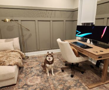 Rate My Home Office Setup (Ignore Kai)