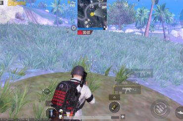 Bug in Nusa