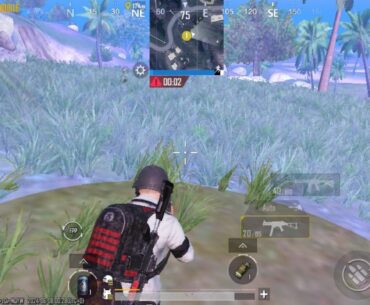 Bug in Nusa