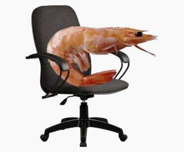 Could you help me choose a computer chair?