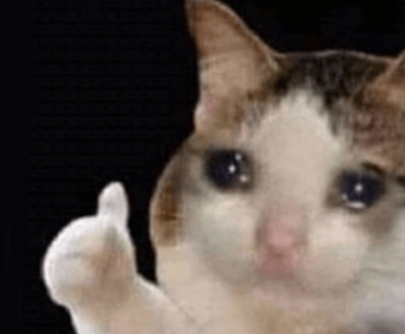 Me trying to do 30 interrogations, but squadmates are killing every downed enemy