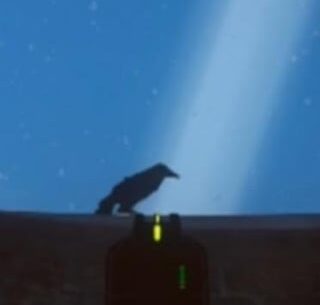 Der Eisendrache Raven (Possible Explanation)