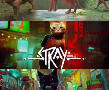 I think the developers missed out the opportunity to increase the gaming experience by not adding a cat editor.