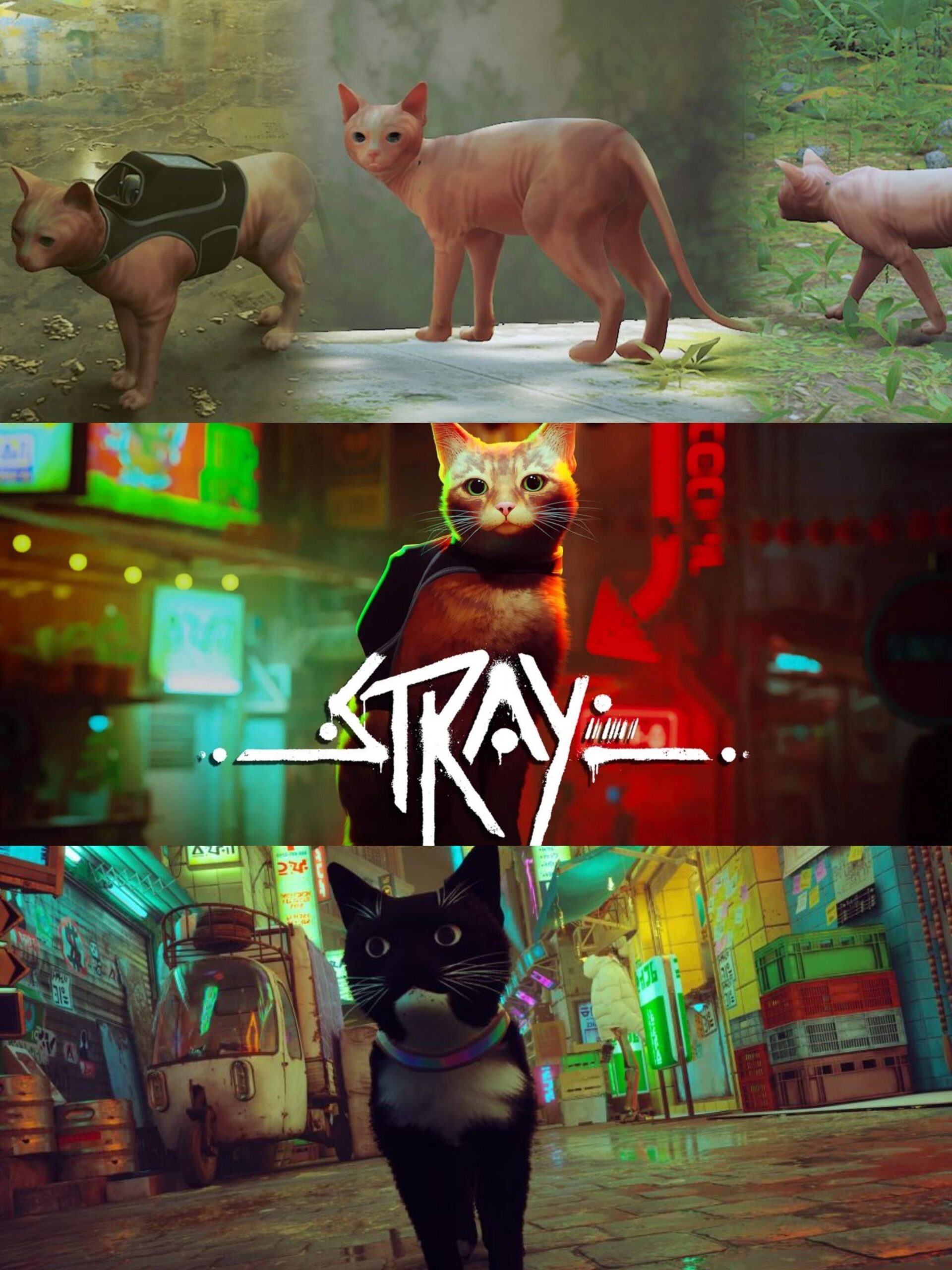 I think the developers missed out the opportunity to increase the gaming experience by not adding a cat editor. I think the developers missed out the opportunity to increase the gaming experience by not adding a cat editor.