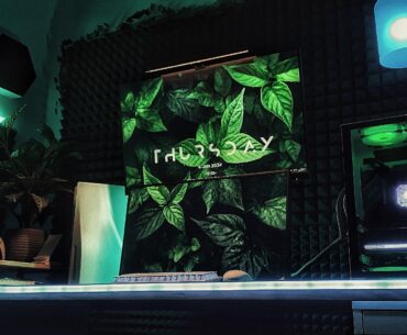 Jungle Vibes in my room