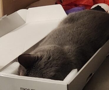 Ordered a new keyboard, got this instead…