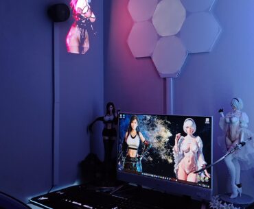 Made my Wife her own battlestation