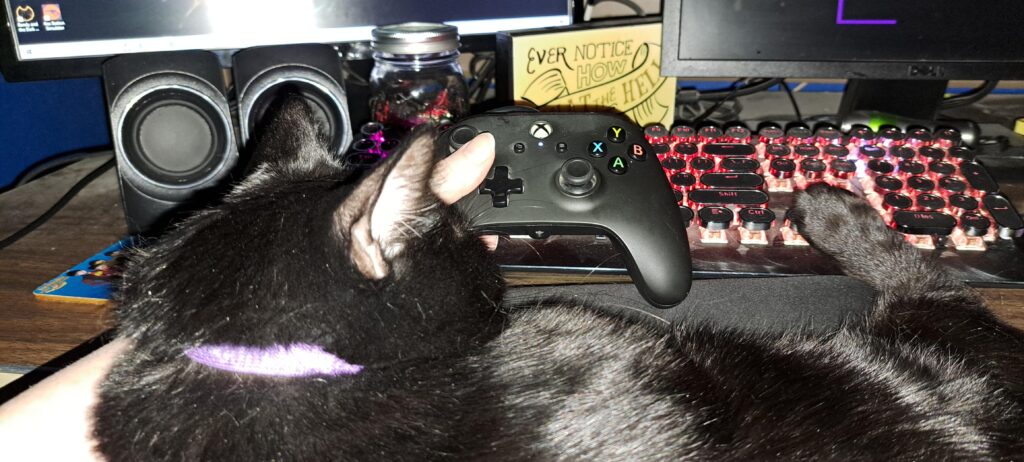My gaming buddy