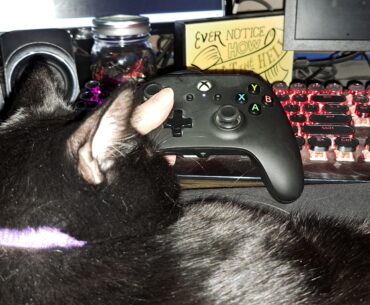 My gaming buddy